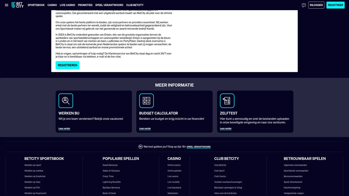 Betcity Casino — Support in detail