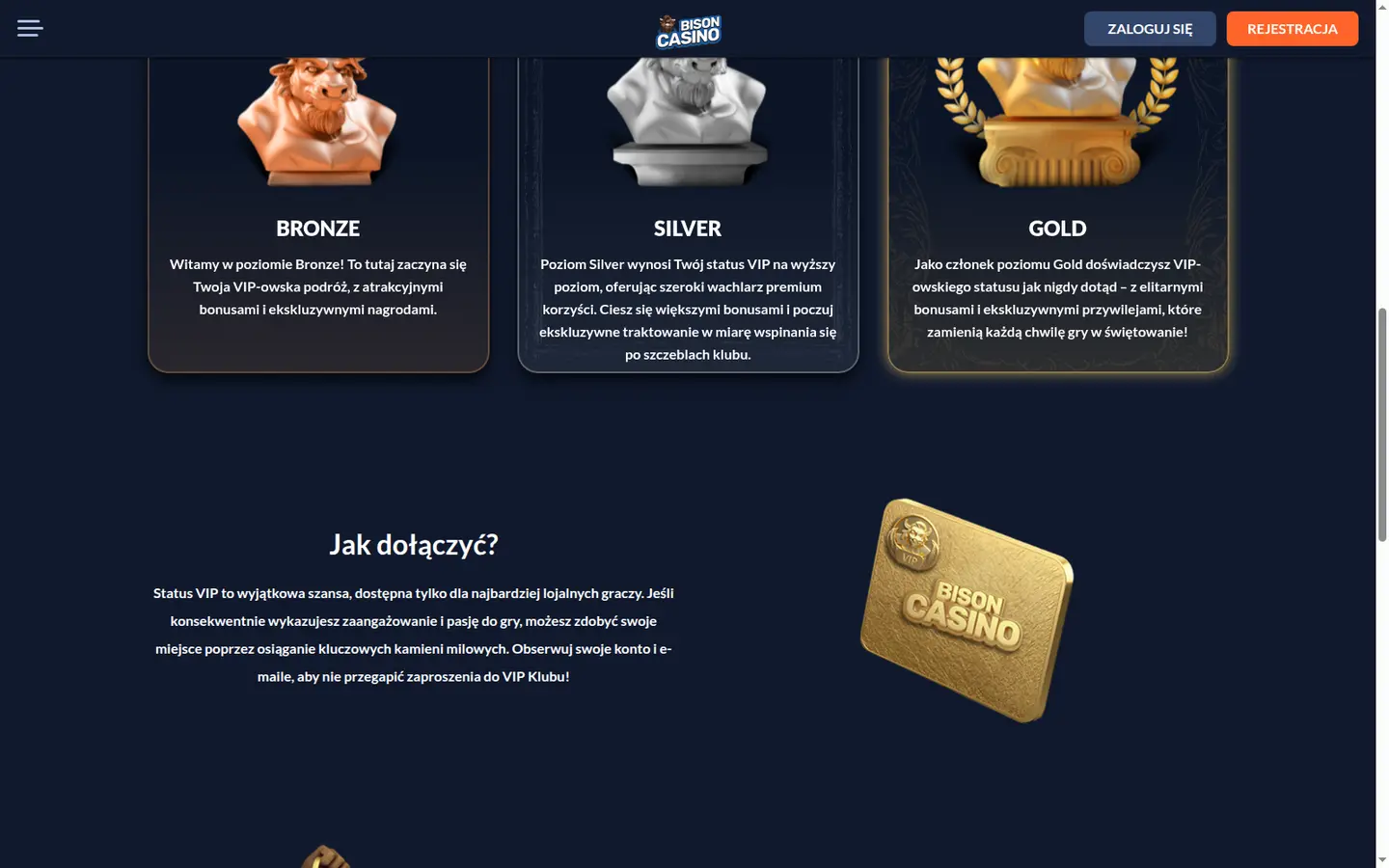Bison Casino — Offers in detail