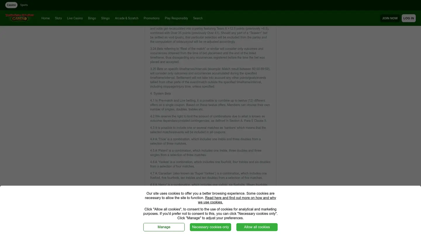 Rainbow Riches Casino — Terms in detail