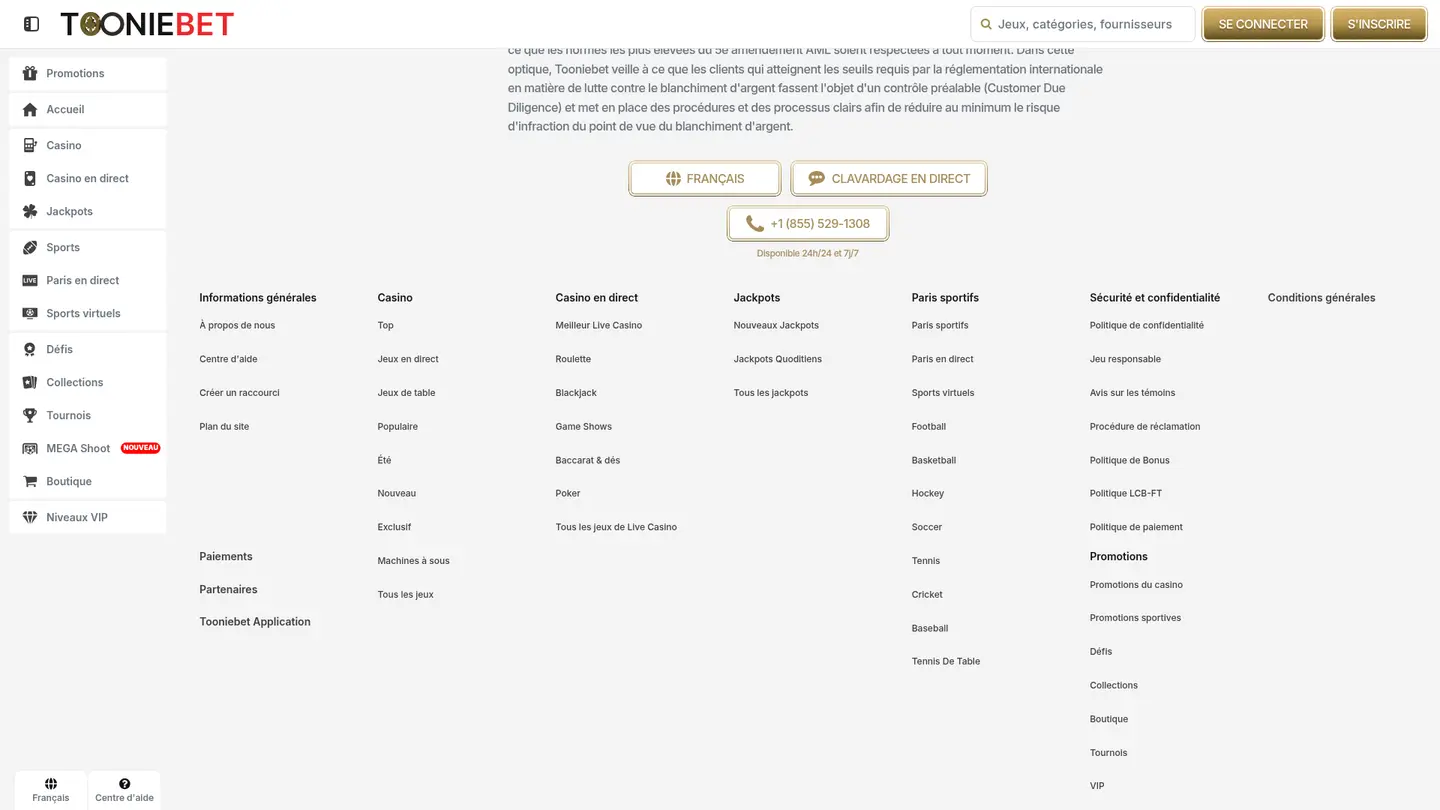 Tooniebet Casino Ontario — Support in detail