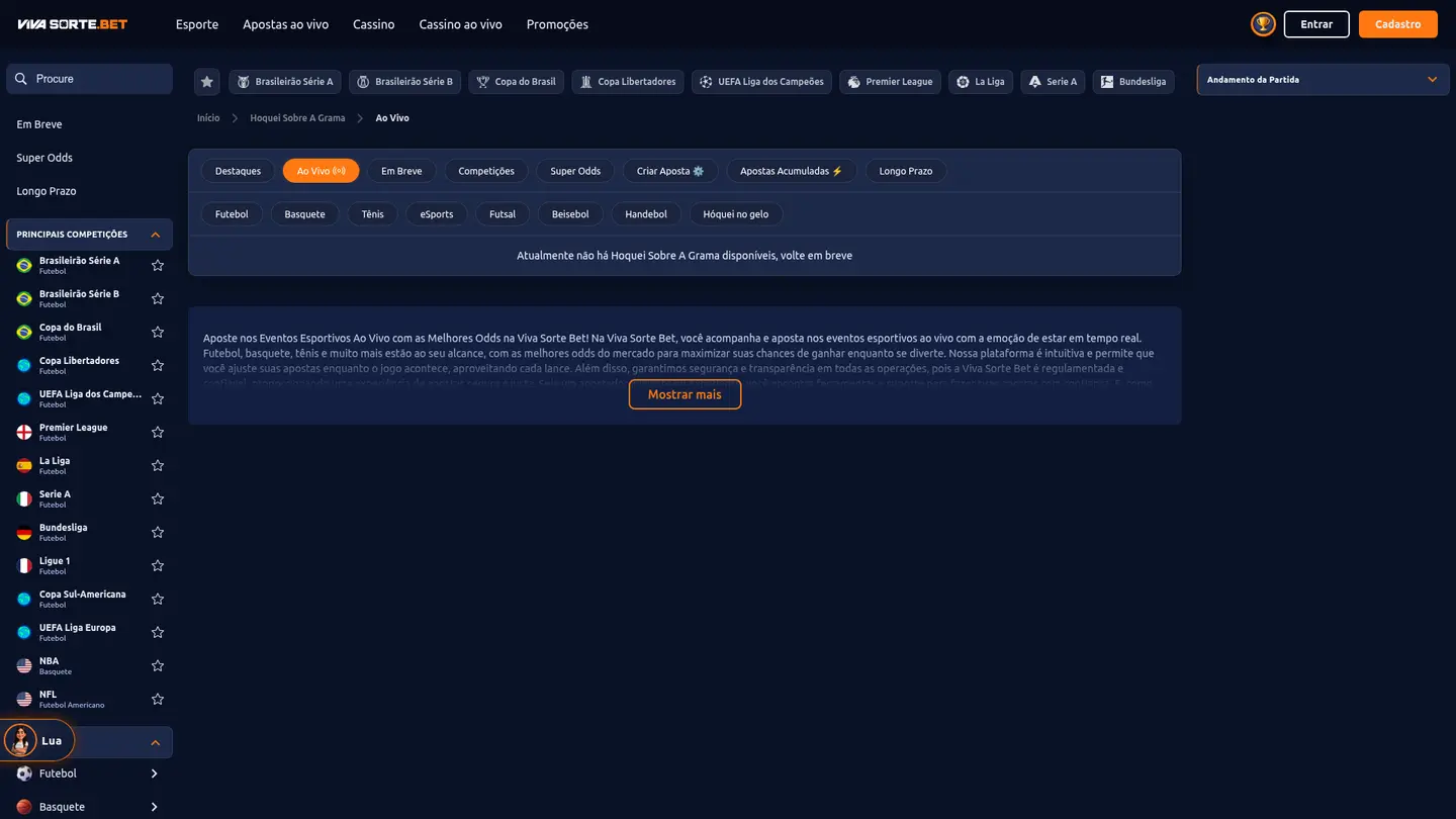 Viva Sorte Casino — Support and licensing